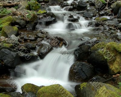 Flowing Stream