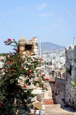 Castle of Saint Peter. Museum underwater archeology in Bodrum