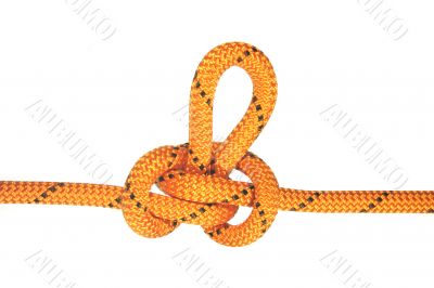 austrian knot
