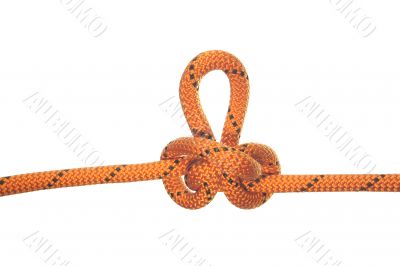 austrian knot #02