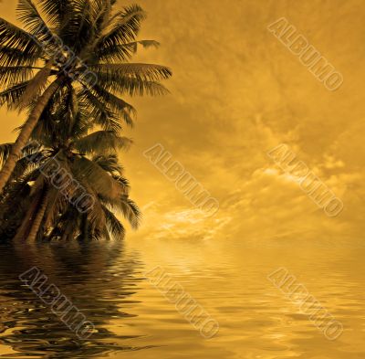sunset beach