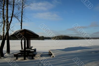 Frost winter day on the lake
