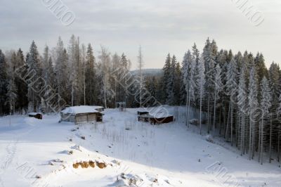 Winter`s tale