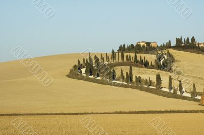 tuscan lanscape