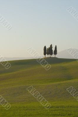 tuscan lanscape