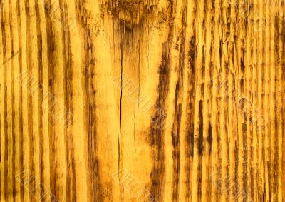 old wood texture