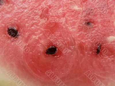 watermelon pulp background