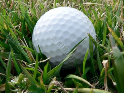 golf ball