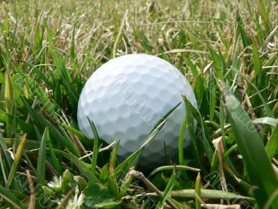 golf ball