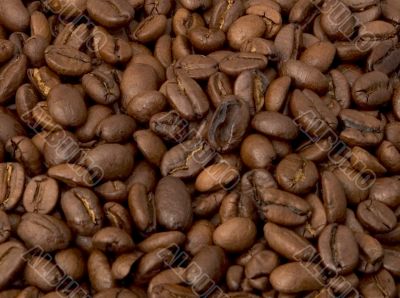 coffee beans