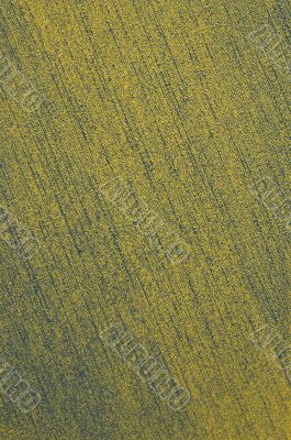 abstract bronze background
