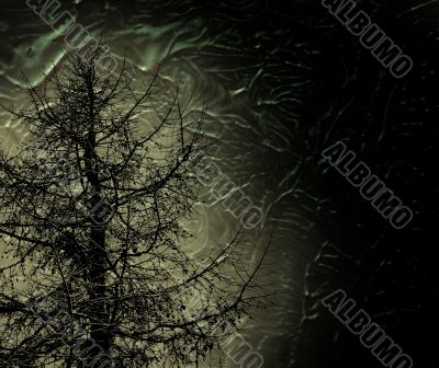 mystic tree