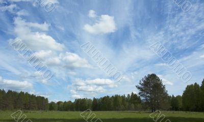 landscape