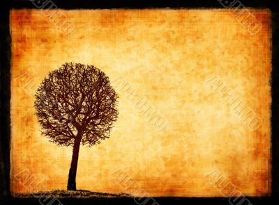 grunge frame with tree silhouette