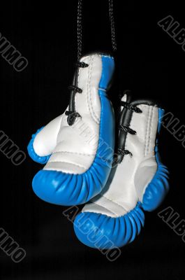 small boxer gloves
