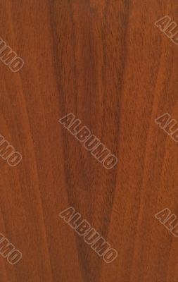 redwood texture