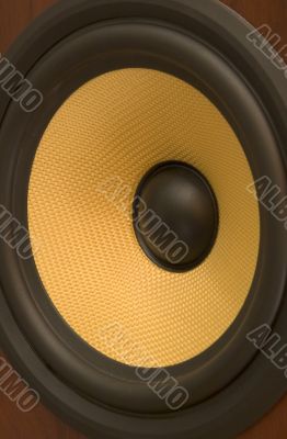 kevlar speaker