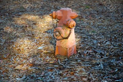 fire hydrant