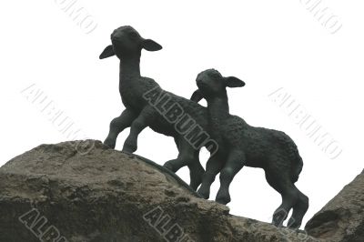 Two lambs on the rocks - white