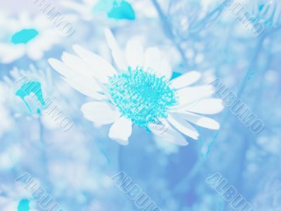 Blue floral background