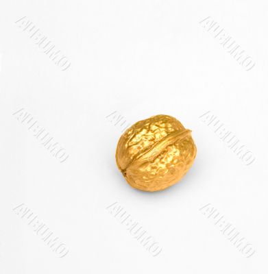 golden walnut