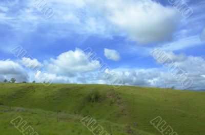 Background of blue sky and green grass