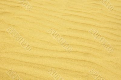 rippled sand background