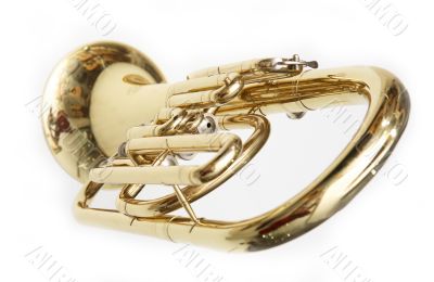 Trumpet cornet