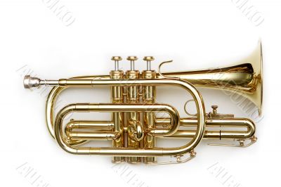 Trumpet cornet