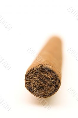 cigar