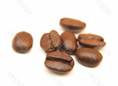 coffee beans