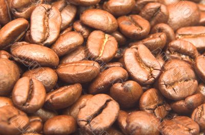 coffee beans background