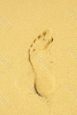 footprint in the sand