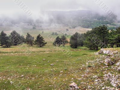 Mountain landscape. Crimea.