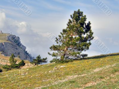 Mountain landscape. Crimea.