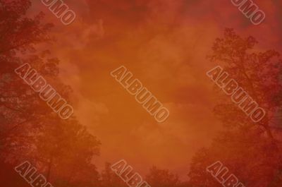 grunge forest background with space for text