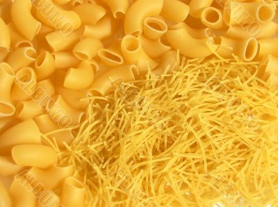 macaroni pasta