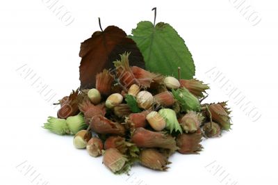 Nuts