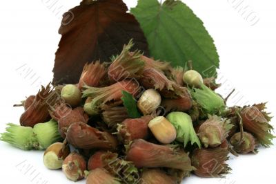 Nuts