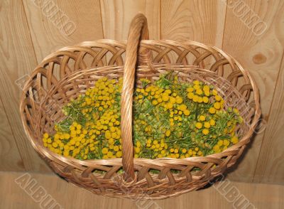 yellow daisies in a basket