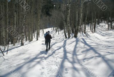 Snowshoe hiker, shadows of aspens