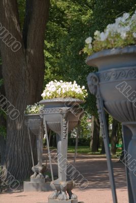 Bowl with flowers in garden