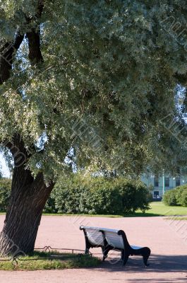 Bench in garden