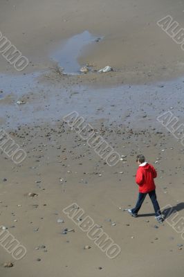 Walking on the beach at low tide