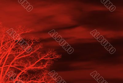 red floral background