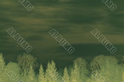 green floral background with space for text