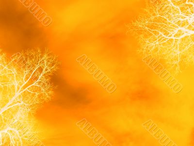 orange floral background