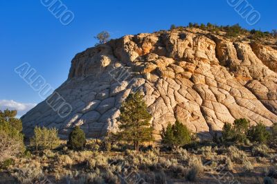 Tortoise mountain.