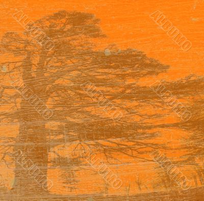 grunge background with tree silhouette