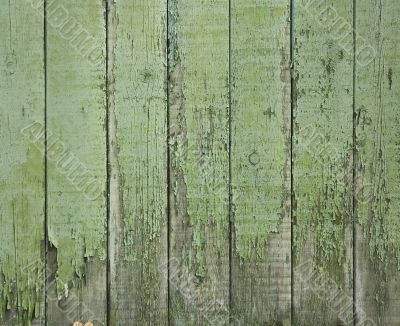 old green wooden fence - perfect grunge background